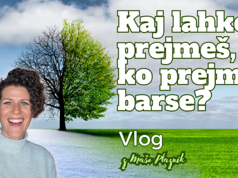 Kaj lahko prejme&scaron;, ko prejme&scaron; barse? 