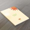 MENTORSKI PROGRAM - Liza